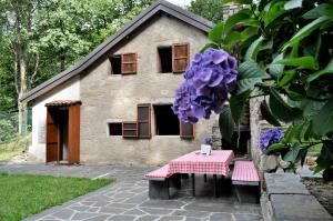 einen Tisch vor einem Haus mit einer lila Blume in der Unterkunft Rustico Gola di Lago in Lelgio