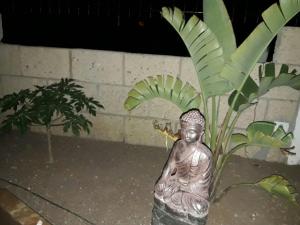 Afbeelding uit fotogalerij van VILLA Atlantico Views in Candelaria