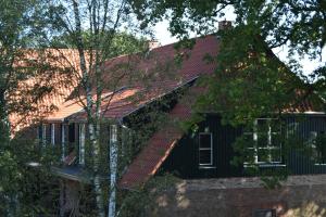 a black house with a red roof and stairs at Ferien Hohes Elbufer in Schnakenbek +6 photos