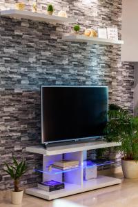 TV a/nebo společenská místnost v ubytování Gold & Silver Apartments