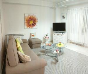 Televízia a/alebo spoločenská miestnosť v ubytovaní Studio Apartment Unity