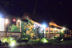 a house lit up at night with lights at Banyu Homestay in Banyuwangi
