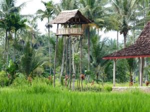 a bird house in a field with palm trees at Banyu Homestay in Banyuwangi