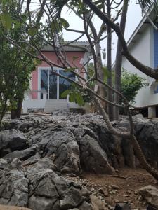 Gallery image of Charlie's Bungalows in Ko Si Chang