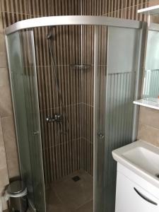 a shower with a glass door next to a sink at Sakran Hotel in Yenişakran