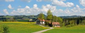 a house on the side of a green field with a road at Altensberger Hof in Gestratz