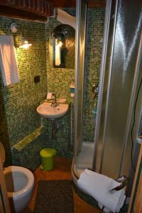 a bathroom with a shower and a sink and a toilet at B&B Edera in Castagnole Piemonte