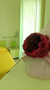 una rosa rossa seduta sopra un letto di Il Cortile a Lanciano