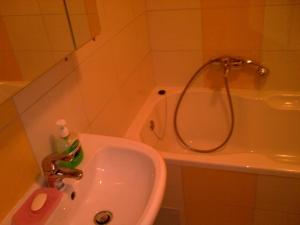 La salle de bains est pourvue d'un lavabo et d'une douche. dans l'établissement Arena Jaruščica Apartment, à Zagreb