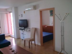TV a/nebo společenská místnost v ubytování Arena Jaruščica Apartment
