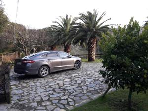 Сад в El Corral Del Acebo