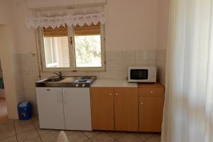 Küche/Küchenzeile in der Unterkunft Apartment Kod Stipe
