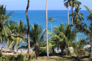 een groep palmbomen op een strand met de oceaan bij Star beach hotel in Tangalle