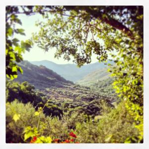 ピアーナ・デッリ・アルバネージにあるAgriturismo Al Poggettoのギャラリーの写真 +56枚の写真