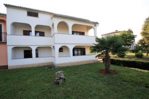 a white house with a palm tree in the yard at Apartments Livio Stranici in Rošini