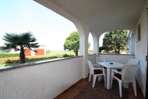 a balcony with a table and chairs and a palm tree at Apartments Livio Stranici in Rošini