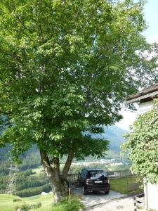 ein Auto, das unter einem Baum neben einem Haus parkt in der Unterkunft Casa Tavernela in Vicosoprano