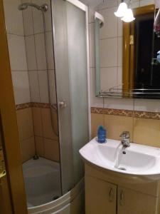 a bathroom with a shower and a sink and a shower at Пляц Пруса/Plac Prus in Lviv