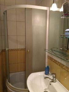 a bathroom with a sink and a glass shower at Пляц Пруса/Plac Prus in Lviv
