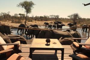 un branco di elefanti in piedi nell'acqua di South Okavango - Omogolo Hideaways a Rammu