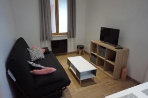 ein Wohnzimmer mit einem schwarzen Sofa und einem TV in der Unterkunft Les feignes cerfdoré in La Bresse