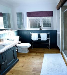 a blue bathroom with a toilet and a sink at Rose Cottage in Lincoln
