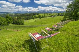 rząd krzeseł ogrodowych siedzących na trawiastym wzgórzu w obiekcie Hotel REDYK Ski&Relax w Zębie