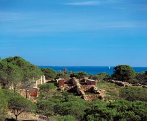 Gallery image of Hotel Mediterráneo in Guardamar del Segura