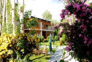Zahrada ubytování Hotel Ladakh Greens - an Organic Retreat