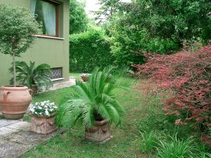 een tuin met potplanten en een huis bij B&B Casa Boscolo in Piove di Sacco