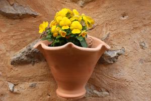Fotografie z fotogalerie ubytování Rectoria 6 v destinaci Valldemossa