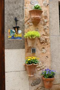 Fotografie z fotogalerie ubytování Rectoria 6 v destinaci Valldemossa
