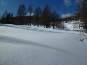 a snow covered slope with trees in the background at La Buneta in Macra