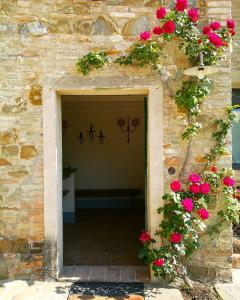 Fotografie z fotogalerie ubytování Agriturismo Pian Del Tevere v destinaci Torgiano