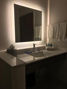 Gallery image of Holiday Inn Express & Suites Houston Southwest Galleria Area by IHG in Houston