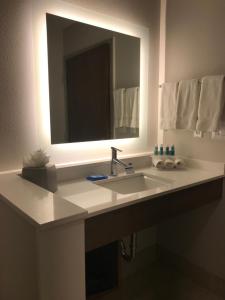 Gallery image of Holiday Inn Express & Suites Houston Southwest Galleria Area by IHG in Houston +22 photos