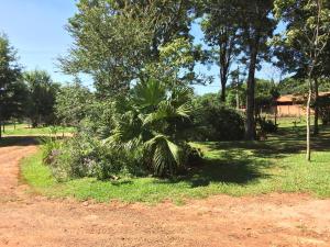 Un jardín fuera de Iguazu apart hostel