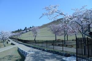 a fence with flowering trees in front of a hill at Mountain Home Lodge in Deer Park in Nara