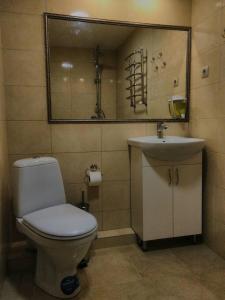 ヤブルニツァにあるCottage Palitraのバスルーム(トイレ、洗面台、鏡付)