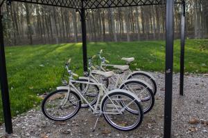 Jazda na bicykli v okolí ubytovania B&B Bortolino