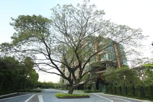 a tree in the middle of a road with a building at Parc Borough City Resort in Chiang Mai