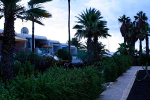 卡門港的住宿－Casa Los Jardines，一群棕榈树在一座建筑前