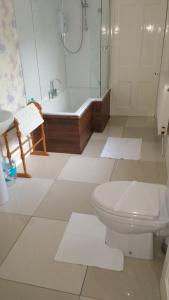 a bathroom with a toilet and a shower and a tub at Inveravon Holiday Home in Dufftown