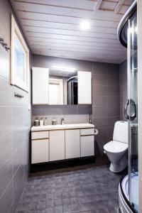 een badkamer met een wastafel en een toilet bij Pyhä Igloos in Pyhätunturi