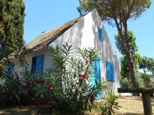 Zahrada ubytování Camping le Camarguais