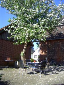 een tafel en stoelen naast een boom met witte bloemen bij Haus Gezeiten in Meldorf