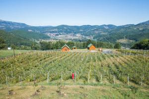 Paesaggio naturale nelle vicinanze dell'hotel