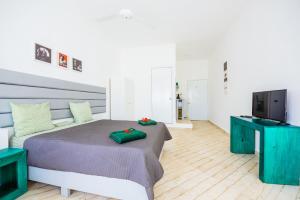 TV a/nebo společenská místnost v ubytování Terraza Art Villa Dominicana