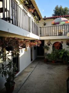 un patio de un edificio con macetas en Hotel Posada Santa Teresita, en Antigua Guatemala