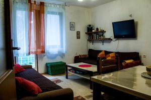 a living room with a couch and a tv at Kuća Lavanda in Drežnjak